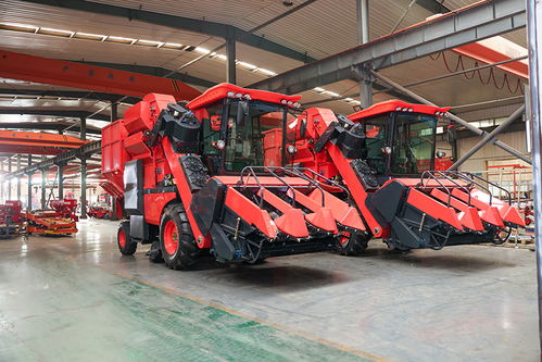 5522xxaixxx5334CC资料大全wwwcom